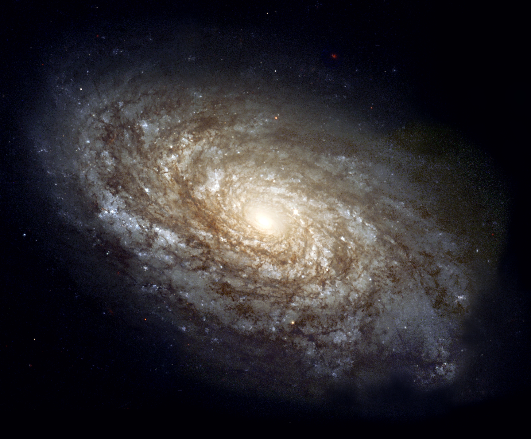 Spiral Galaxy 1